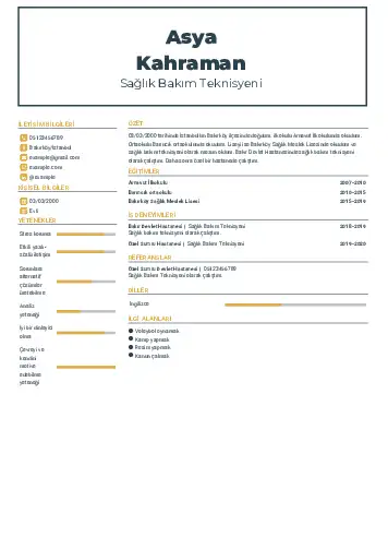 Sağlık Çalışanı Cv Örnekleri cv indir